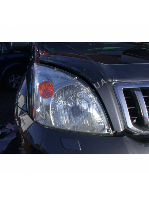 Защита фар Toyota Prado 120